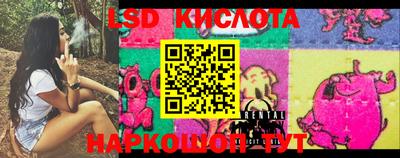 гашик Кимры