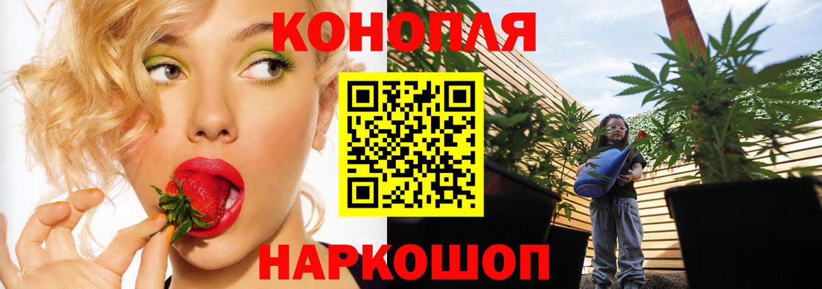 МАРИХУАНА White Widow  Шишки марихуана Ganja  Краснодар  Каннабис семена  Шишки марихуана White Widow  Вход с VPN 